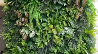 重庆室内仿真植物墙：让空间常年鲜活的低维护方案