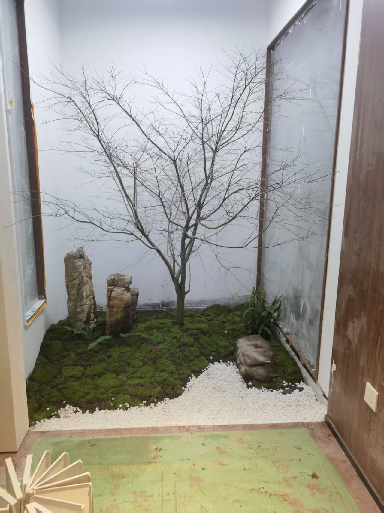 室内造景